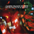 James Blood Ulmer - Are You Glad To be in America